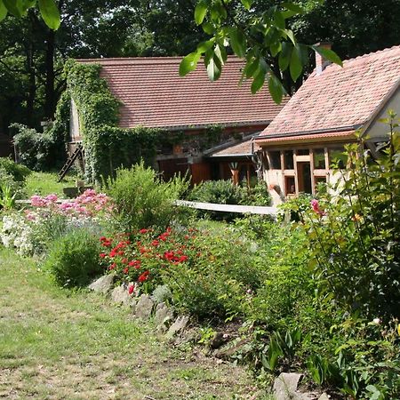 Poncet'Sches Herrenhaus Δρέσδη Εξωτερικό φωτογραφία