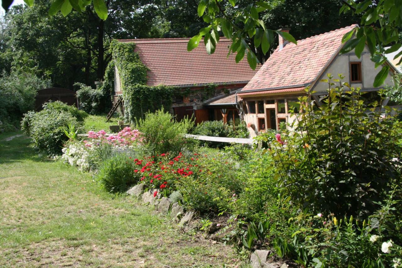 Poncet'Sches Herrenhaus Δρέσδη Εξωτερικό φωτογραφία